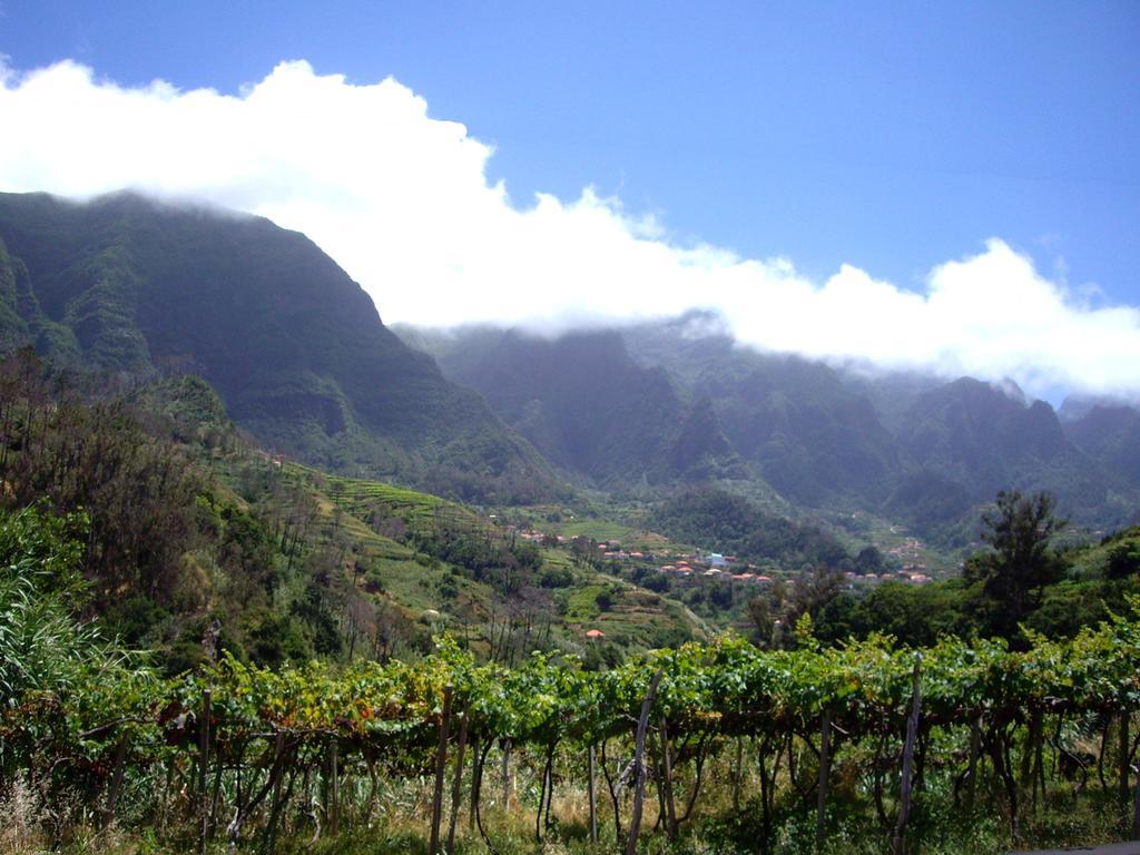 Holidays Madeira Сан-Вісенте Номер фото